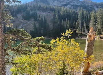 montana/gallatin-national-forest/attraction/fairy-lake-trailhead