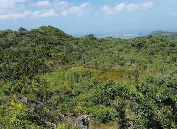 guam/dededo/attraction/mount-lamlam-summit