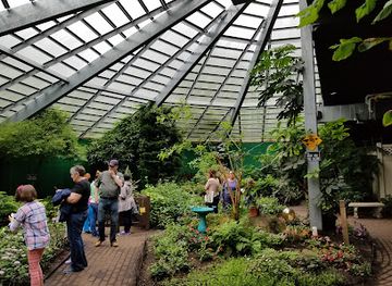 massachusetts/metrowest/attraction/the-butterfly-place