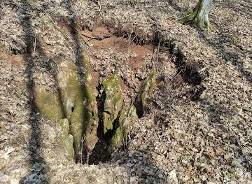 slovakia/slovak-karst-national-park/attraction/poludnajsia-priepast