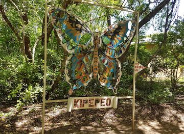 kenya/coastal-region/attraction/kipepeo-butterfly-house