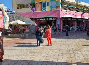 mexico/cabo-san-lucas/attraction/manta-scuba-diving