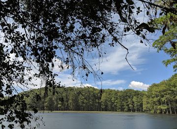florida/tallahassee/attraction/gil-waters-preserve-park