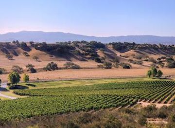 california/santa-barbara/attraction/rusack-vineyards
