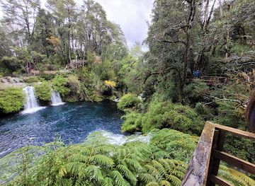 chile/tierra-del-fuego/attraction/parque-ojos-del-caburgua