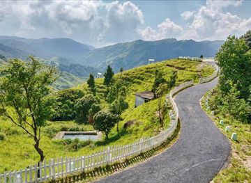 india/meghalaya/attraction/mawranglang-view-points