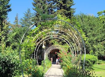georgia/stone-mountain/attraction/black-grouse-waterfall