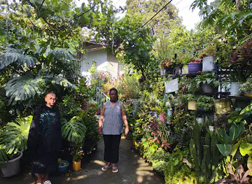 Bekele and Shewaye Garden