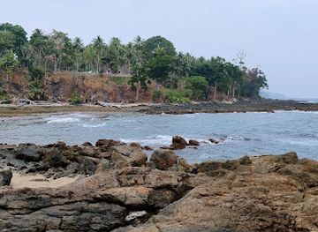 india/andaman-and-nicobar-islands/attraction/pagdandi-ocean-beach