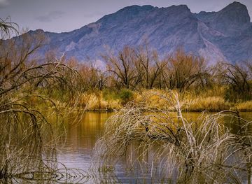 nevada/ash-meadows-national-wildlife-refuge/attraction/longstreet-spring-and-cabin