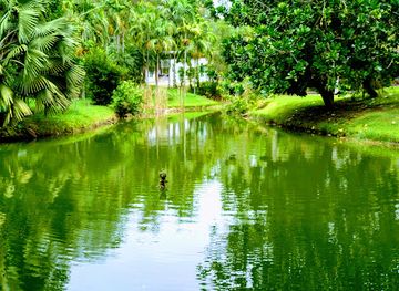 thailand/surat-thani/attraction/tha-sathon-hot-spring