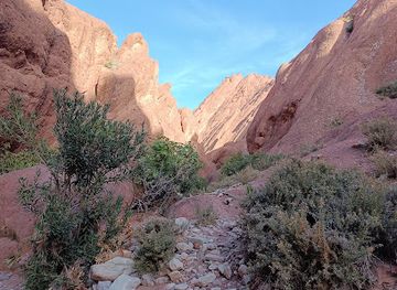 morocco/dades-valley/attraction/canyon-des-doigts-de-singe