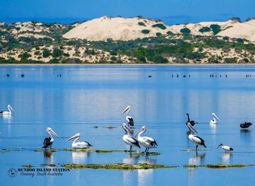 australia/fleurieu-peninsula/attraction/mundoo-island-station