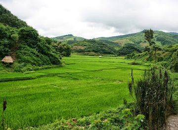 laos/muang-sing/attraction/water-fall-nam-dee