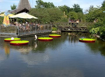 belgium/mechelen/attraction/zoo-planckendael