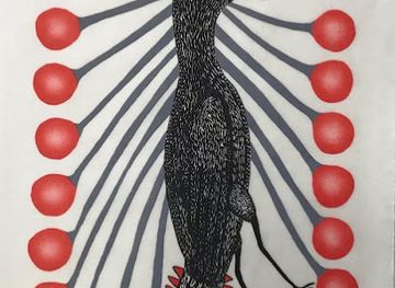 canada/nunatsiavut/attraction/nunavut-gallery-inc