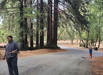 california/redwood-city/attraction/redwood-picnic-area-huddart-park