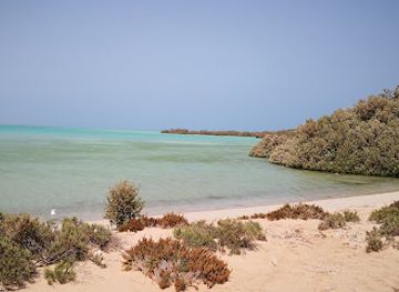 saudi-arabia/farasan-islands/attraction/farasan-island-marine-sanctuary