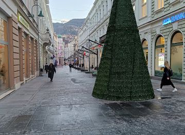 bosnia-and-herzegovina/sarajevo/attraction/ferhadija-2