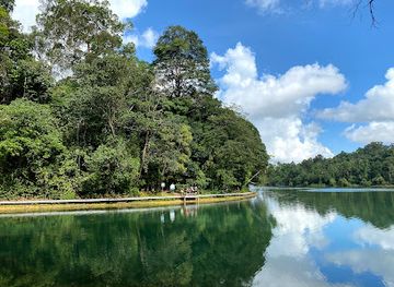 singapore/macritchie-reservoir/attraction/end-of-lornie-trail