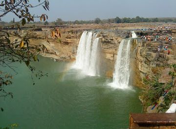 india/chhattisgarh/attraction/indravati-national-park