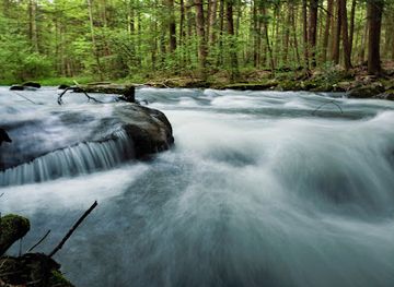 pennsylvania/appalachian-mountains/attraction/reeds-gap-state-park