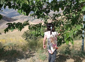 iraq/sulaymaniyah/attraction/be-sana