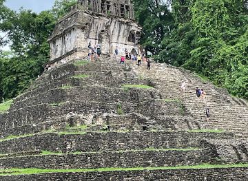 mexico/chiapas/palenque/attraction/chiapas-palenque