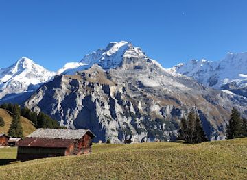 switzerland/bernese-oberland/attraction/flower-trail