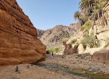 jordan/southern-jordan-valley/attraction/wadi-ghuweir