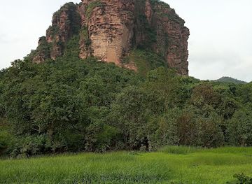 india/madhya-pradesh/attraction/bori-wildlife-sanctuary