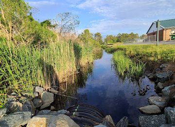 virginia/eastern-shore/attraction/island-nature-trail