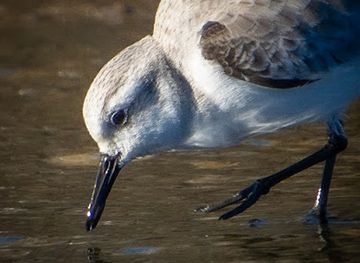 portugal/portimao/attraction/foz-do-rio-arade