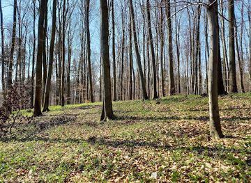 czechia/moravian-karst/attraction/habruvecka-bucina