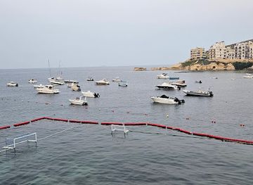 malta/marsalforn/attraction/nautic-team-giant-tun-snail