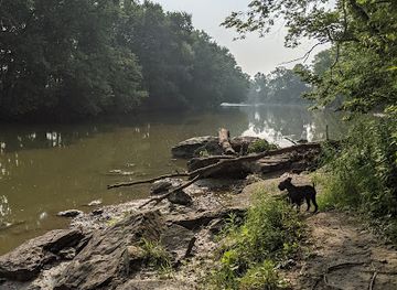 indiana/the-hoosier-national-forest/attraction/hanging-rock-national-natural-landmark-acres-land-trust