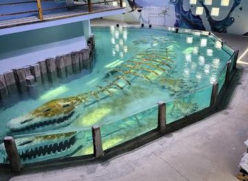 texas/houston/attraction/houston-interactive-aquarium-animal-preserve