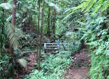 saint-lucia/vieux-fort/attraction/des-cartier-trail
