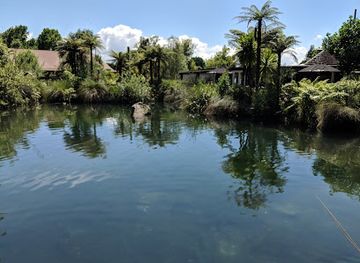 new-zealand/rotorua/attraction/the-national-kiwi-hatchery