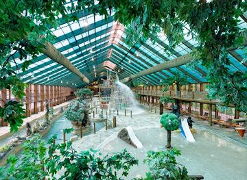 tennessee/great-smoky-mountains/attraction/wild-bear-falls-water-park