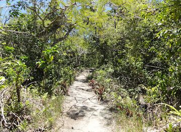 new-caledonia/ouvea-island/attraction/cave-tour-departure-point