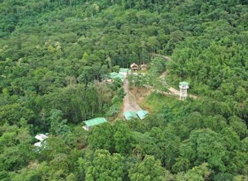 india/nagaland/attraction/tourist-resort-changtongya