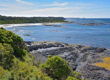 australia/mornington-peninsula/attraction/mushroom-reef-marine-sanctuary
