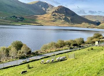 ireland/galway/attraction/joyce-country-sheepdogs