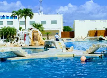 mexico/cancun/attraction/dolphinaris-cancun