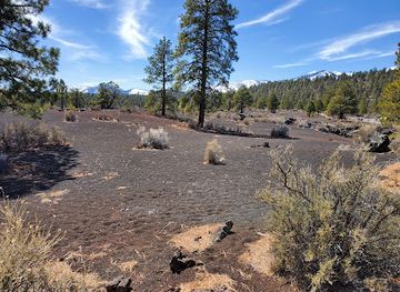 arizona/san-francisco-peaks/attraction/lava-flow-trail
