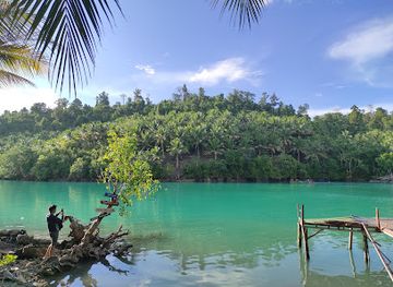 indonesia/togean-islands/attraction/tanjung-lawaka-ampana