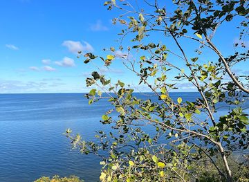estonia/ida-viru-county/attraction/saka-vaatlusplatform
