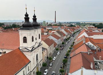 slovakia/trnava-region/attraction/prehliadky-trnavy