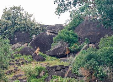 uganda/elgon/attraction/kidepo-national-park-uganda